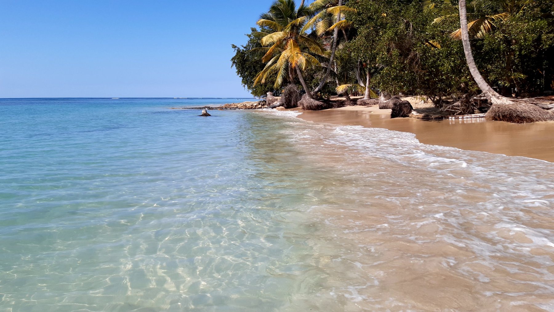 Playa Bonita Las Terrenas